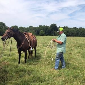 Meet your Posher, Noah